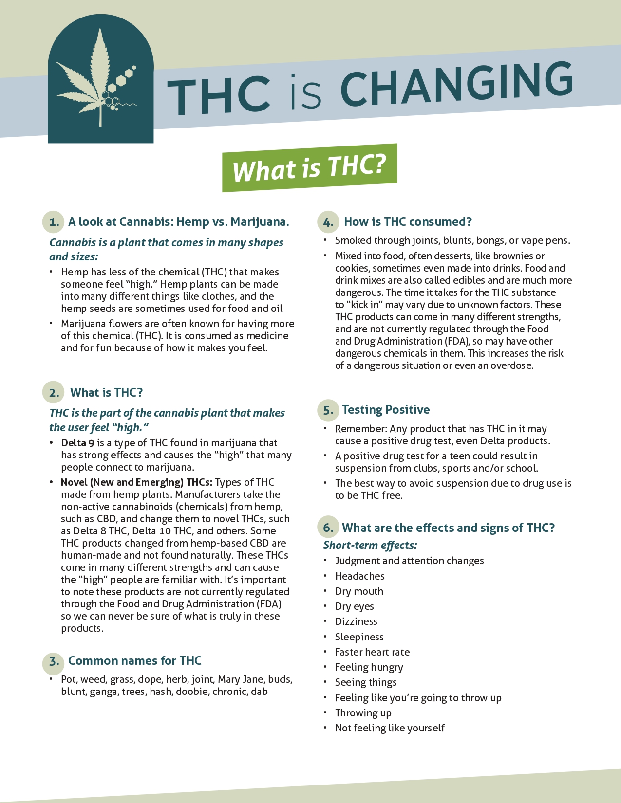 THC is Changing Campaign Materials